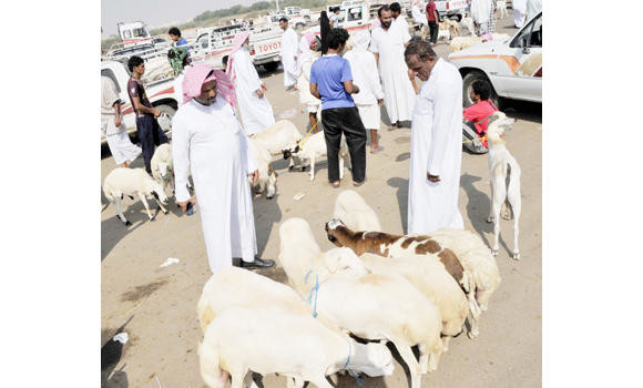 Kuwait bans KSA livestock