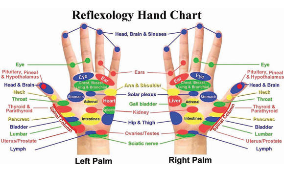 Eunice Ingham Reflexology Chart