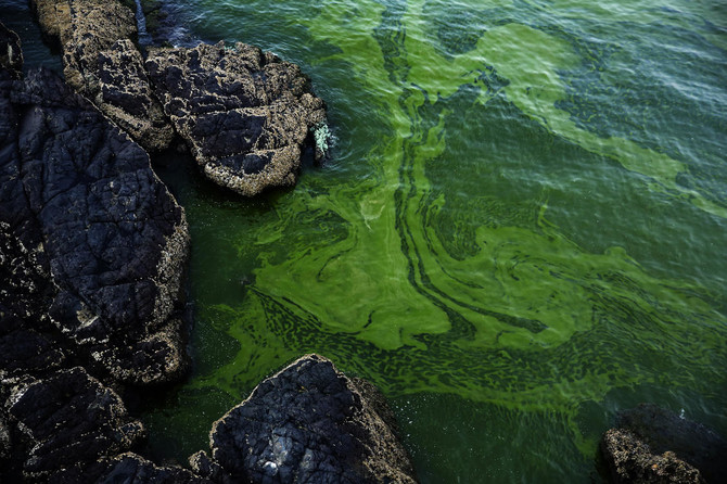 Growing algae bloom in Arabian Sea tied to climate change