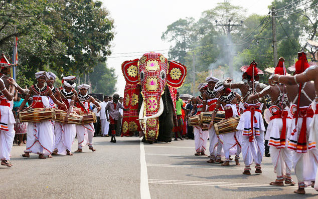 Elephant in Sri Lankan Buddhist procession kills monk