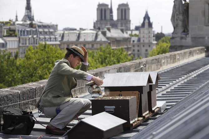 Paris’s urban rooftop hives hope to preserve honeybees