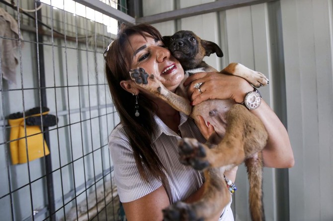 Palestinian ex-banker devotes her life to West Bank dogs