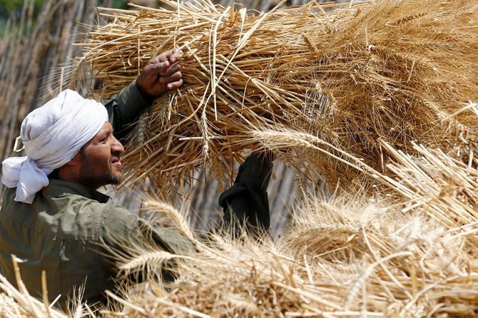 World Bank arm to invest $150 million in Egypt’s agriculture sector