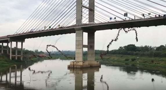 Video Yes That Is 245 People Jumping Off A Bridge Together Arab News