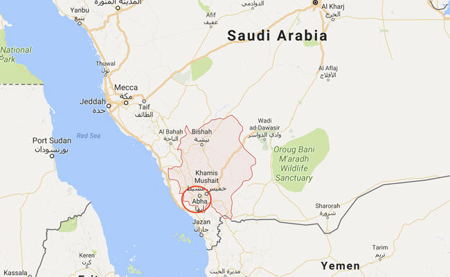 Saudi deputy governor and 7 others killed in helicopter crash