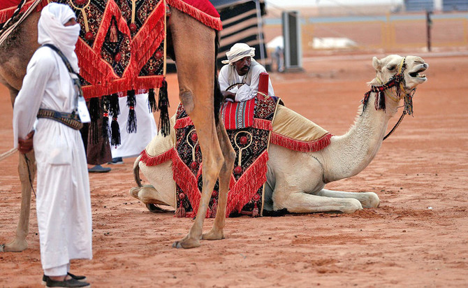 Tribal slurs banned in National Camel Festival