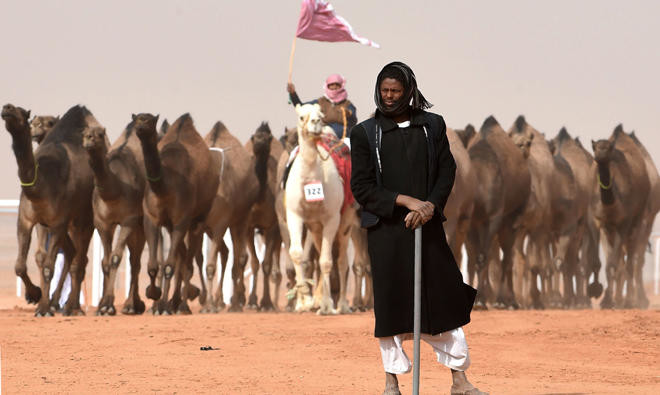 Famed photographer Osmann in Riyadh for camel festival