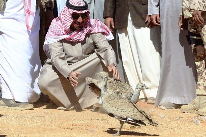 Najran governor launches first phase of Saudi project to restore wildlife in reserve