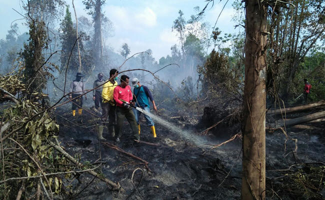 Haze from Indonesia forest fires 'unlikely to affect' Singapore, Malaysia