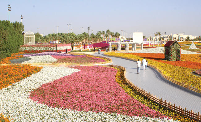 Record-breaking flower power carpets Saudi Arabia’s Yanbu festival