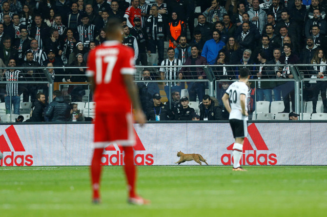 Cat’s incredible! Besiktas charged after bizarre Champions League hold-up