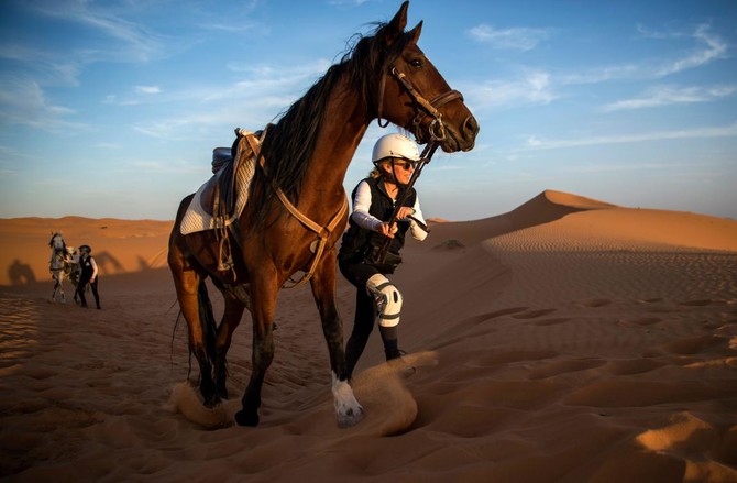 Morocco desert stallion race pushes limits of endurance