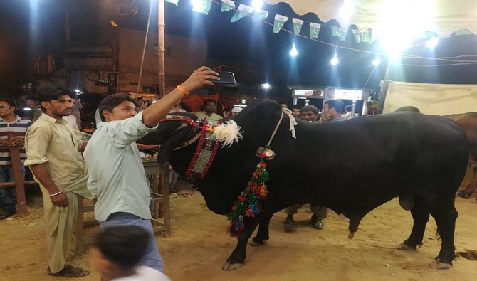 This Eid, sacrificed livelihoods left behind in Pakistan's cattle markets |  Arab News