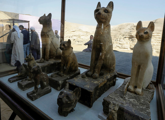 Egypt unveils animal mummies of lion cubs, crocodiles, birds | Arab News