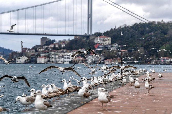 Tourism turkey istanbul Istanbul 2021: