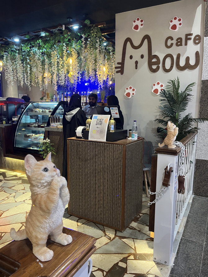Cat Cafe - Cafe Meow