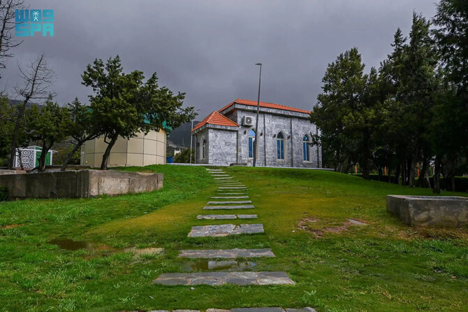 Baha blossoms into emerald-green landscape from heavy rain Baha blossoms into emerald-green landscape from heavy rain