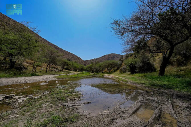 Verdant sceneries of Al-Baha Verdant sceneries of Al-Baha