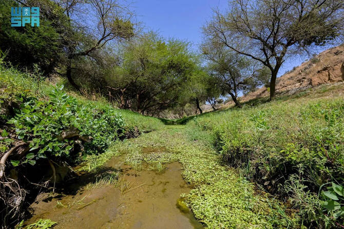 Verdant sceneries of Al-Baha Verdant sceneries of Al-Baha