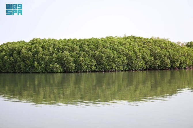 Jazan’s unique landscape and heritage Jazan’s unique landscape and heritage