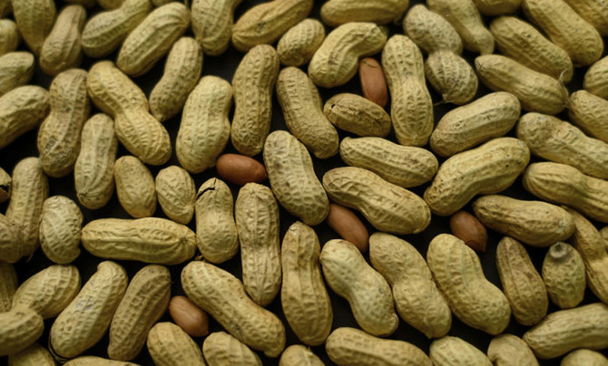 Study: Skin patch could help kids with peanut allergies