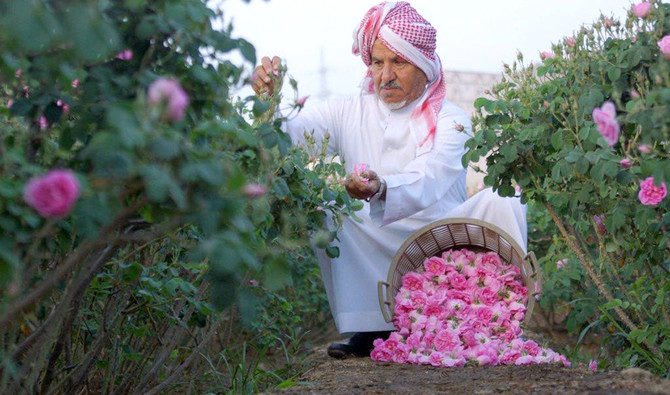 Fertile market: Saudi farms ready to welcome tourists