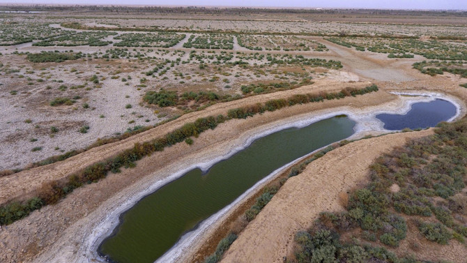 Water crisis salts the earth in Iraq’s long-neglected south