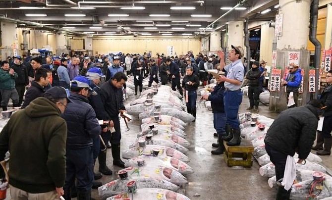 Japan heatwave threatens famed Tsukiji tuna auction
