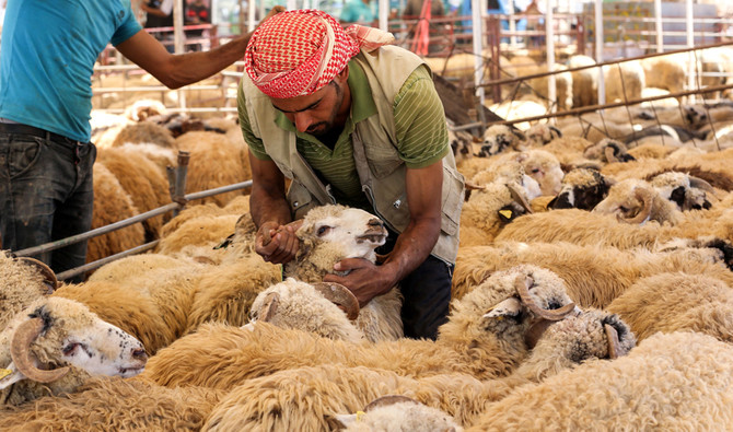King Salman to cover costs of sacrificial animals for Hajj and Umrah program pilgrims