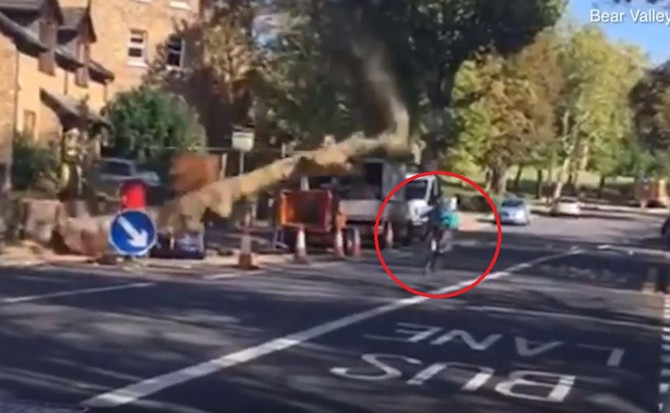 VIDEO: See the heart-stopping moment a cyclist is almost crushed by a falling tree