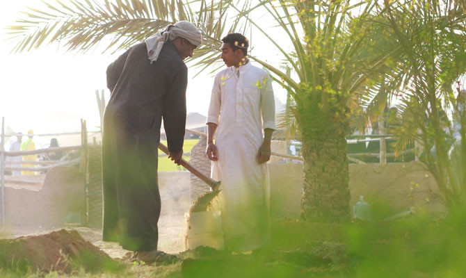 Forestation project launched in Al-Ahsa