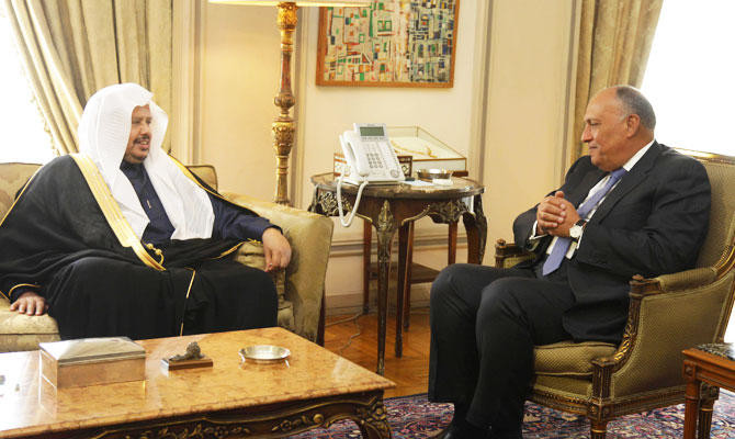 Shoura Council speaker lauds Saudi-Egyptian ties