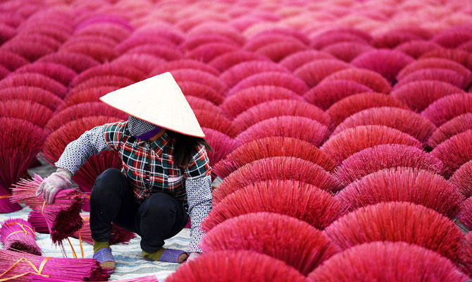 Vietnam’s ‘incense village’ blazes pink ahead of lunar new year
