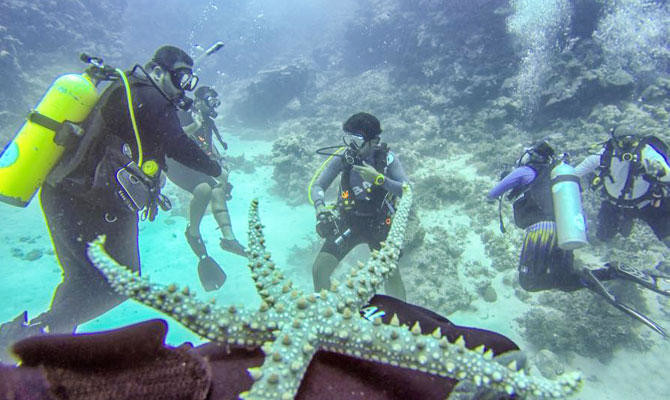 Scuba diving in Red Sea: Family adventure finds new depths