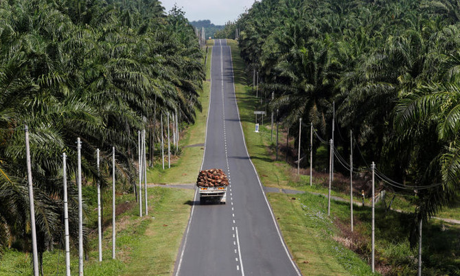 Norway’s wealth fund ditches 33 palm oil firms over deforestation