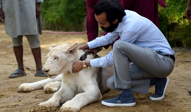 Big cats of Instagram: Pakistani elite’s love of exotic wildlife