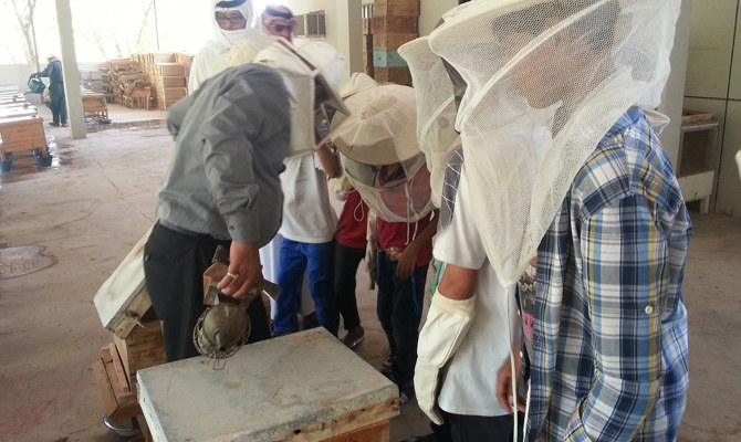 Beekeeping is buzzword at Saudi international honey forum