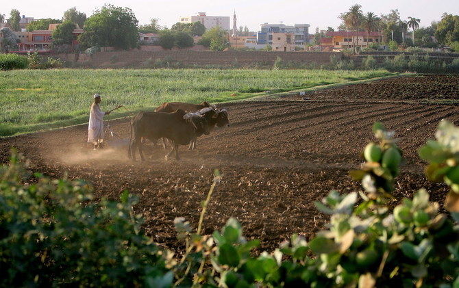 Saudi Arabia and UAE send 50,000 tons of fertilizer to Sudan