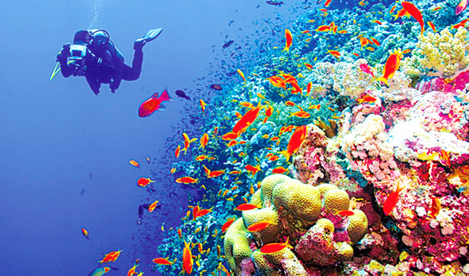 Red Sea luxury development project AMAALA joins Monaco partners to protect marine environment