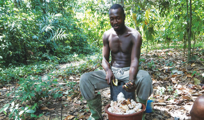 New cocoa deals help peasant farmers, but not enough