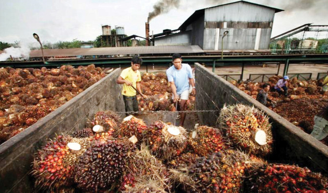 Malaysia in talks with partners to produce palm oil-based bio-jet fuel