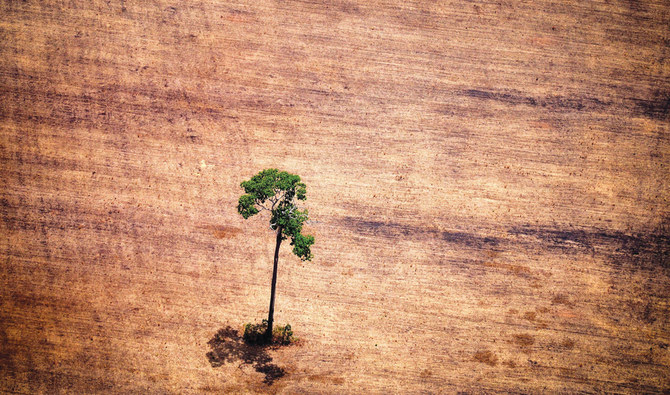 Brazil can’t stop deforestation without help, says minister