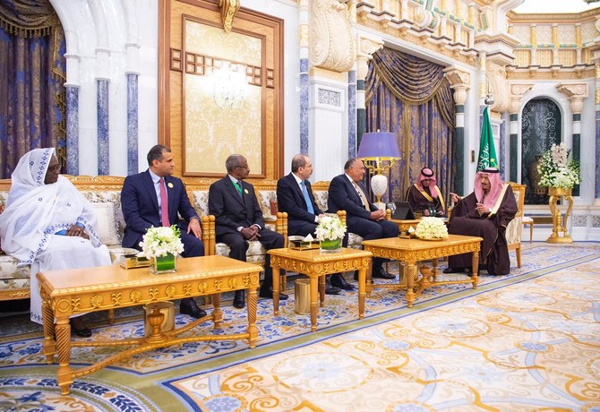 Saudi Arabia and 7 countries form council to secure Red Sea and Gulf of Aden