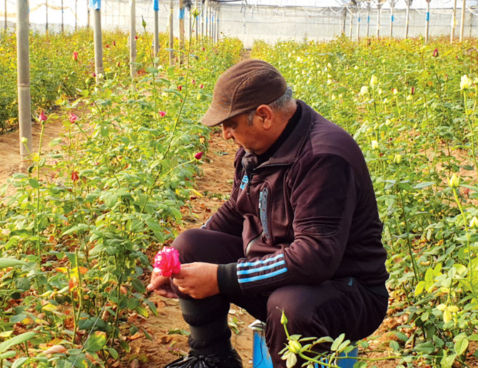 Gaza florists facing extinction amid Israeli blockade