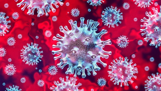 First case of coronavirus confirmed in Egypt