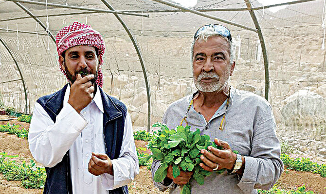 A Sinai desert community in Egypt leads the way in agritourism