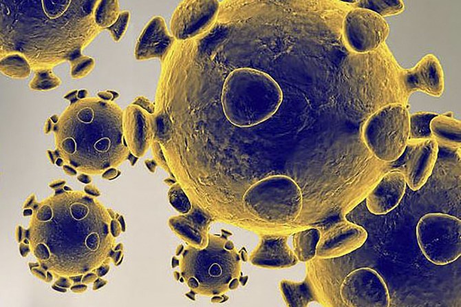 Saudi disease control center starts coronavirus study
