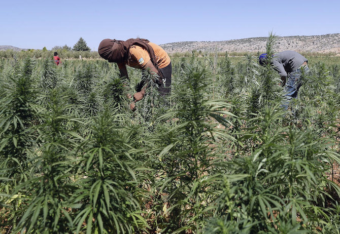 Lebanon makes largest ever cannabis drug bust