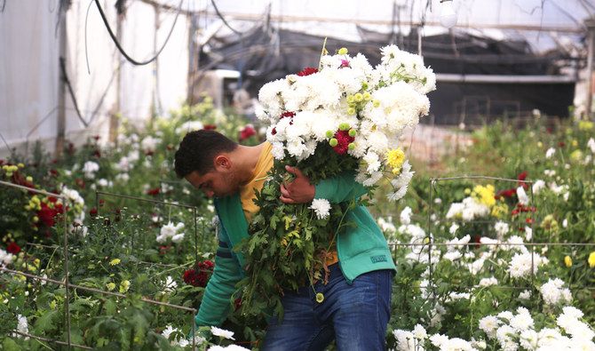 Gazan flower growers watch  trade wither amid COVID-19 crisis