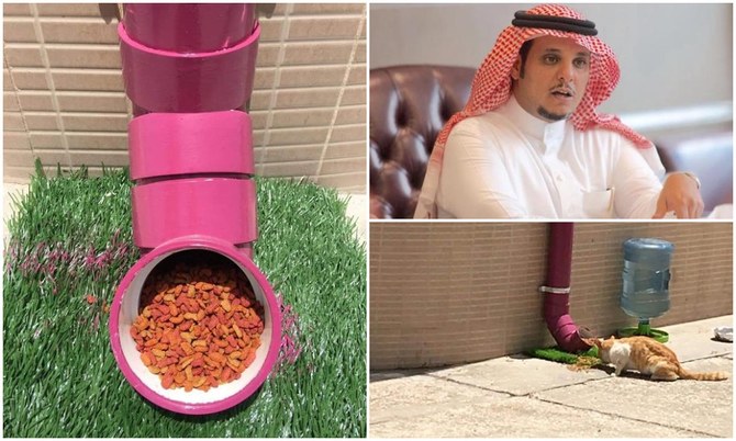 Saudi animal-lovers find ‘purrfect’ feeding solution for city’s hungry stray cats